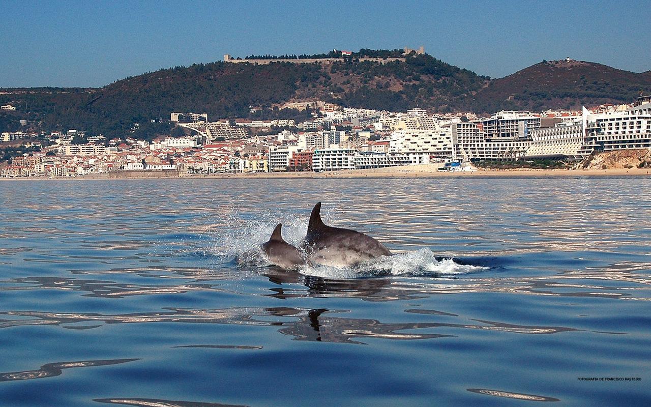 Vila De Sol Сезімбра Екстер'єр фото